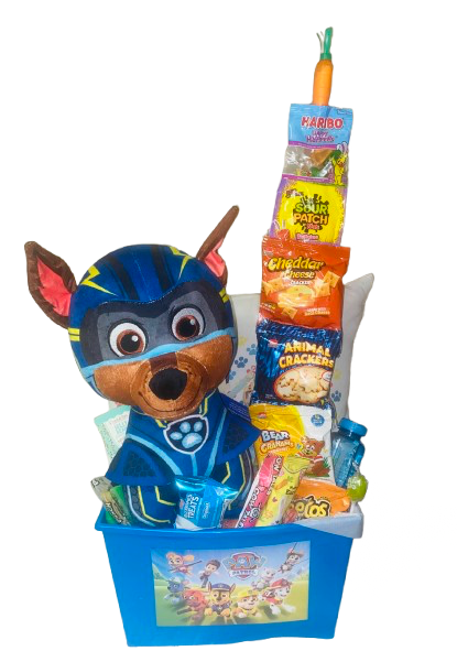 Easter 2025 ~ Paw Patrol Throw Basket